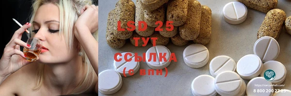 PSILOCYBIN Бугульма