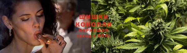 мяу мяу мука Ладушкин