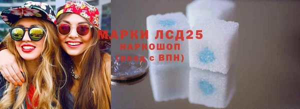 прущие крисы Бородино