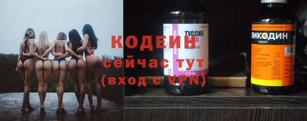 прущие крисы Бородино