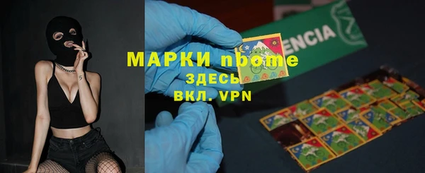 прущие крисы Бородино