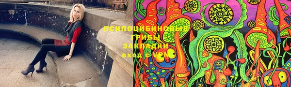 PSILOCYBIN Бугульма
