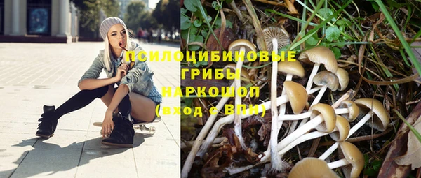 PSILOCYBIN Бугульма