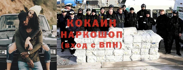 прущие крисы Бородино