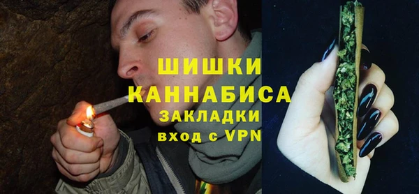 прущие крисы Бородино